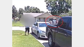 아들 지키려 개한테 쏜 총…아이가 맞았다