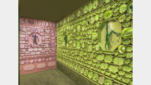 스와로브스키 체험형 매장 ‘인스턴트 원더’, 스타필드 하남점에 선 봬