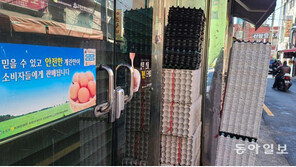 달걀값 왜 안떨어지나 ‘미스터리’…“이제 닭도 키워야 하나”