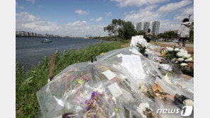 故손정민씨 친구 측 ‘가짜뉴스’ 수만명 고소예고…“고통 심해 무관용”