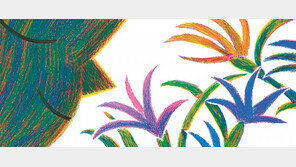 [그림책 한조각]꽃을 보았니?