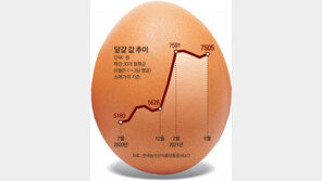 달걀값이 왜 이래?… AI 종식에도 고공행진