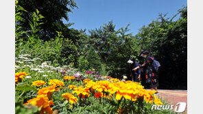 [날씨] 보리 베는 여름절기 ‘망종’…전국 더위·경북 소나기