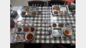 “간부 식판 짬과 코 푼 휴지 취사병이 치워” 육군 병사 폭로