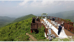 소백산 작은 결혼식… “산새-들꽃이 하객입니다”