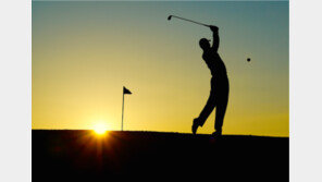 MZ세대가 픽!… “없어서 못 판다” 즐거운 비명