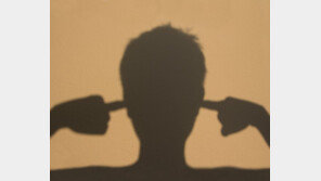 “시끄러워” 흉기 들고 옆집 협박한 40대…경찰관도 때려