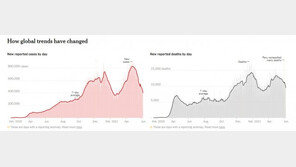 백신 덕에 변곡선 그렸다…반년만에 전세계 확진자·사망자 감소