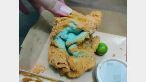 치킨 대신 ‘행주 튀겨’ 배달한 필리핀 프랜차이즈 (영상)