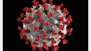 남아공 에이즈 환자, 코로나19 변이 30종 이상 발견 