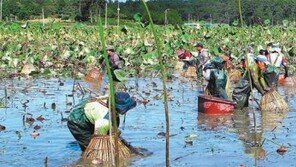 강진 ‘연방죽 생태순환 수로 농업시스템’ 국가농업유산 됐다