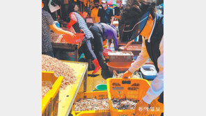 “자연산 활어 저렴하게 사세요”