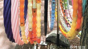 [고양이 눈]훌라후프로 거리두기