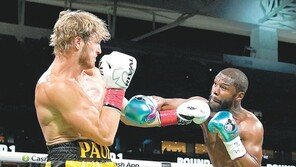 체면 구긴 ‘무패 복서’… 유튜버와 대결서 무승부