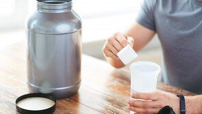 단백질이 서 말이라도 흡수해야 보배… 저분자 보충제로 ‘든든하게’