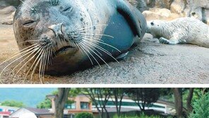 서울대공원, 동물 일상에 스토리 입혔더니…