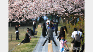 “어쩐지 덥더라”…제주 봄철 평균기온 60년 만에 최고