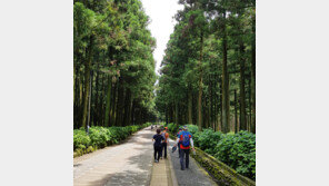 요즘 여행은 #휴식 #재충전… ‘제주형 웰니스 관광’ 육성 눈길