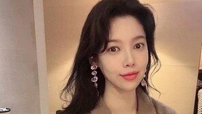 가수 배다해 스토킹한 20대 2심도 ‘실형’…“인격과 일상 무너뜨려”