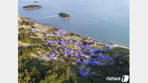 “난 이 색깔 싫은데?”…옐로우시티·퍼플섬, 지원인가 간섭인가