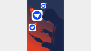 연예인 나체 합성물 수백장 퍼트린 취준생 “관심받고 싶어서…”