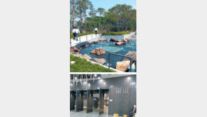 남산 예장자락, 한세기만에 시민품으로 