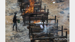 “인도발 변이, 영국발 변이보다 전염성 60% 높을수도”