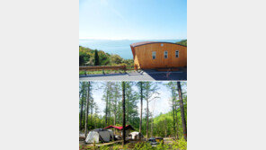 여름 휴가는 숲에서… 코로나 속 자연휴양림 인기 상한가