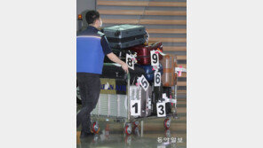 [고양이 눈]신나는 비행