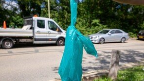 ‘대변 덩어리’ 하늘서 추락…“얼음 녹자 악취, 항공기가 범인”