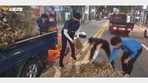 차도로 쏟아진 마늘…시민들은 주저없이 달려왔다 (영상)