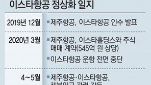 [단독]이스타항공 우선매수권자는 ‘성정’