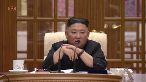 “김정은, K-POP은 북한 젊은이들 타락시키는 ‘악성 암’”