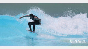 파도 타고 더위 넘다