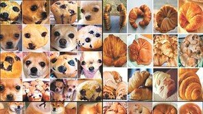 인간의 지성에 도전하는 초거대 AI[정우성의 미래과학 엿보기]