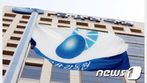 한달 넘은 금융감독원장 ‘공백’…“업무 차질” 우려도