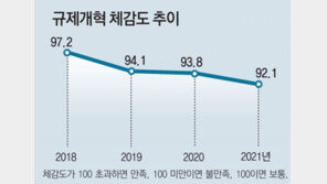 “기업들 정부 규제개혁 만족도 3년 연속 하락”