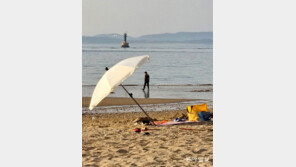 [고양이 눈]더위야 물러가라