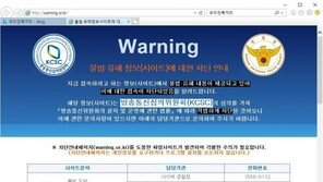 아이폰 신기능으로 불법/유해 사이트 접속된다