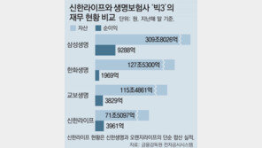 ‘자산 71조’ 신한라이프 내달 출범… 생보업계 지각변동 예고