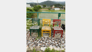 [고양이 눈]함께 앉아요