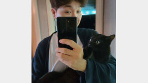 박수홍, 반려묘 다홍이와 이사 “다시 처음부터 시작”