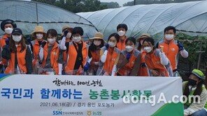 [포토]농협, 한국사회복지협의회와 함께 영농철 일손돕기 실시