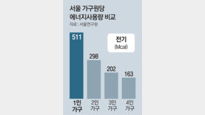 1인 가구 느는데… 에너지 낭비 어쩌나