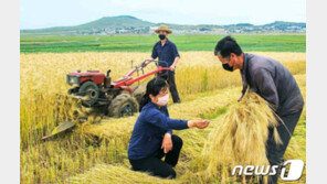 김정은, 전업주부 1만4000명 연백평야 동원령…극심한 식량난에 긴급조치