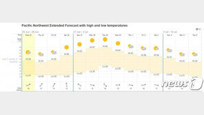 이제 6월인데 美 최악 폭염…북서부 지역 최고 50도 육박