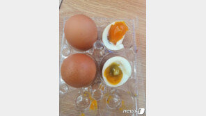 상한 달걀 팔고도 환불 거부한 편의점…고객 ‘부글 부글’