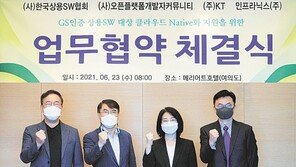 클라우드 앞세워 디지털플랫폼 기업 변신