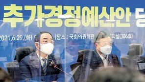 “재난금 1인당 25만~30만원… 年소득 1억이상 440만 가구 제외”