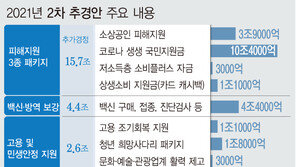 경제 전문가 “용돈 수준 재난금에 ‘말장난’ 캐시백…포퓰리즘”